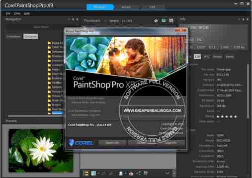 corel paintshop pro x9 download windows 10